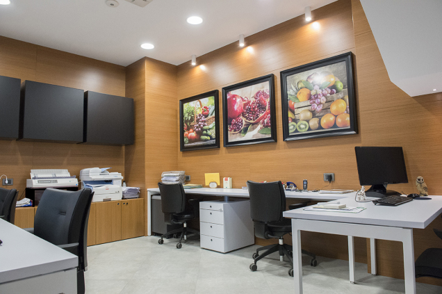 Millennium Srl